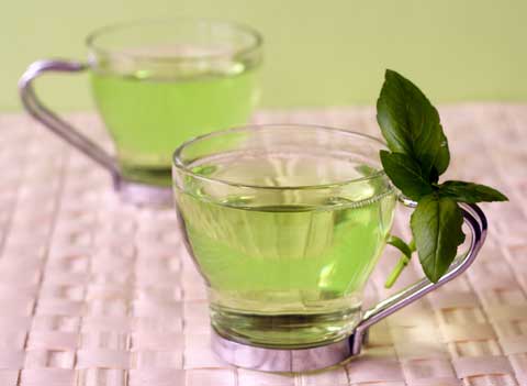 Экстракт зеленого чая – лучший жиросжигатель в мире