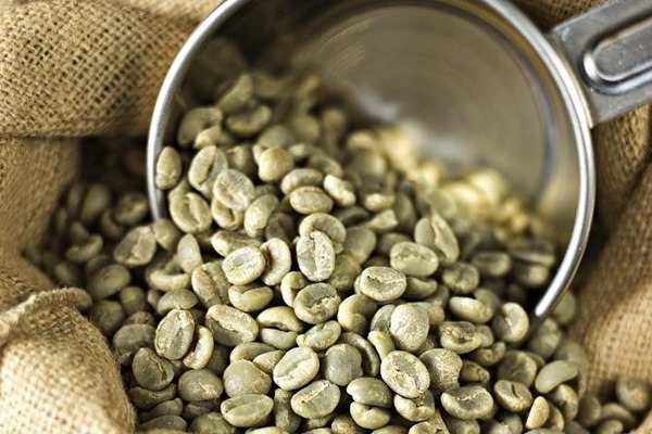 Ученые назвали 5 причин пить зеленый кофе